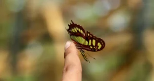 heart touching nepali shayari