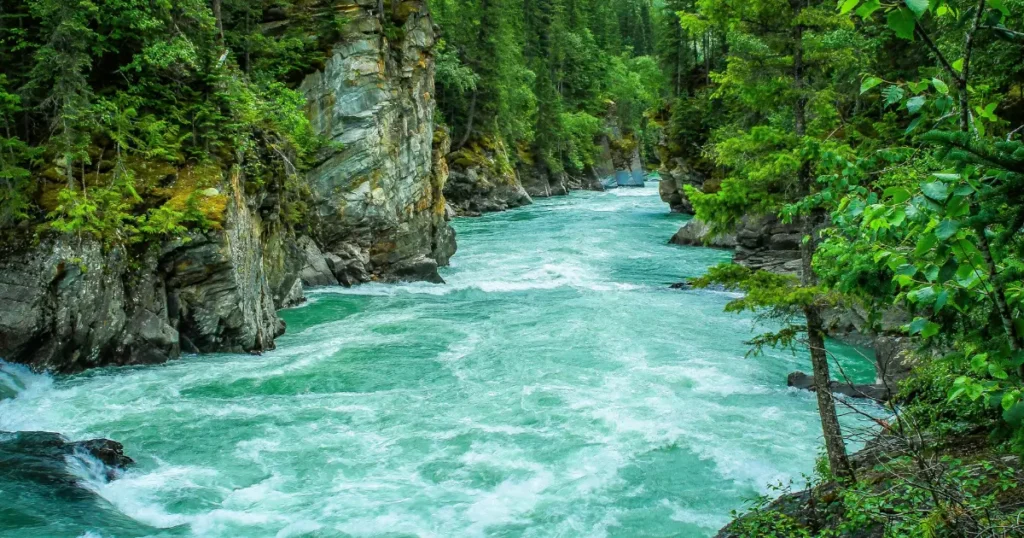 nature quotes in nepali