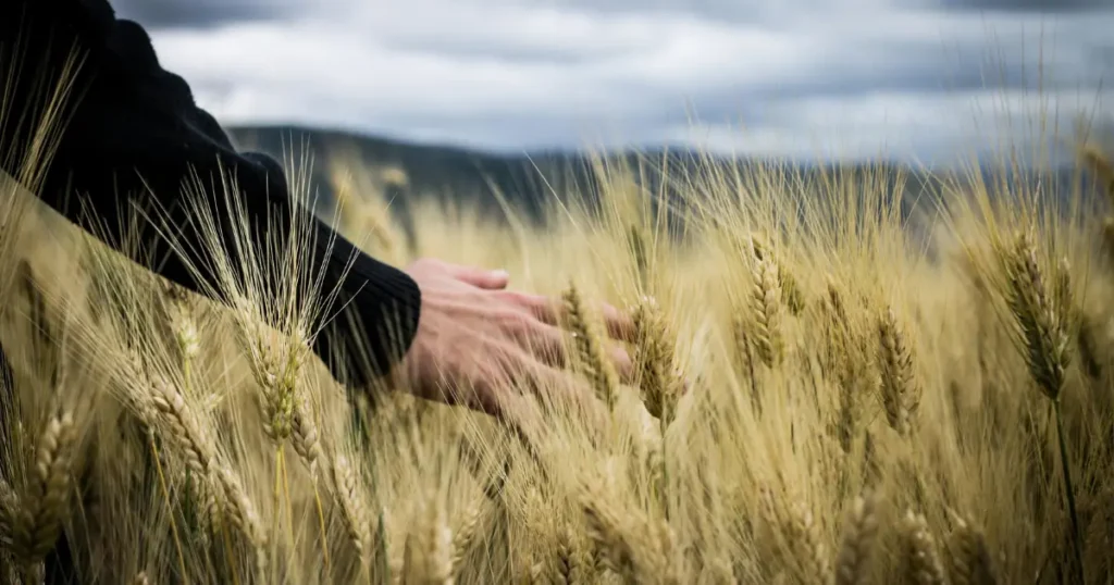 nepali quotes about life